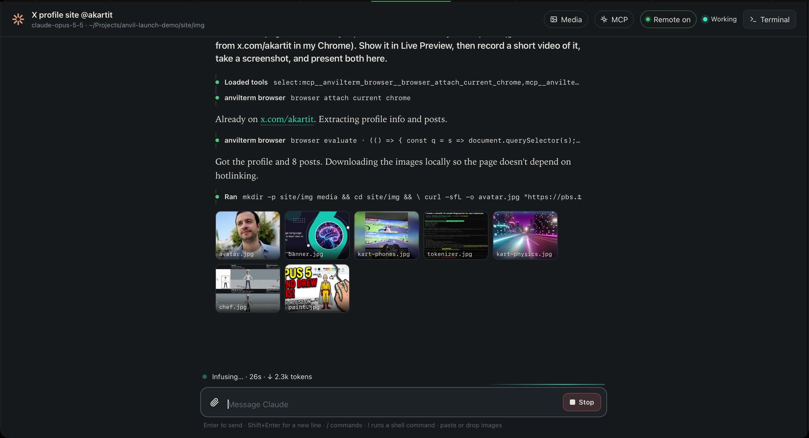 The session in AnvilTerm's desktop view: chat, images, tool rows