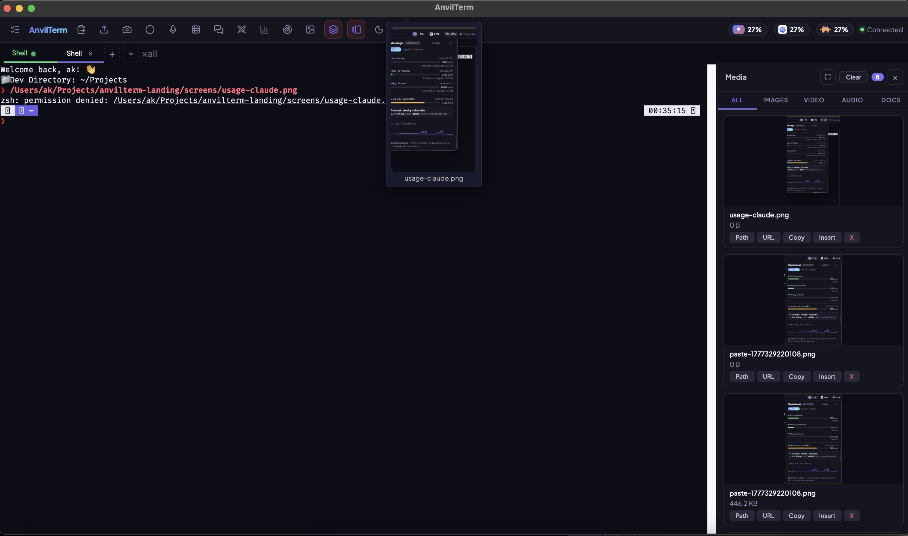 AnvilTerm with a terminal-hover preview floating over a usage-claude.png path, and a Media sidebar listing every image / video / audio / doc surfaced this session with Path · URL · Copy · Insert actions